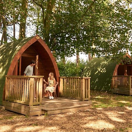 Pinewood - At Port Lympne Reserve Hythe  Exteriér fotografie