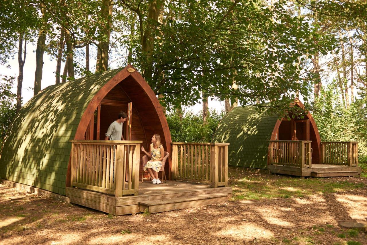 Pinewood - At Port Lympne Reserve Hythe  Exteriér fotografie